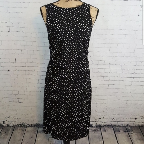 Ann Taylor Dresses & Skirts - ANN TAYLOR Fitted Black and Cream Dress SZ 6